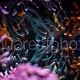 Coral reflection 01