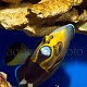Chaetodontoplus conspicillatus 03