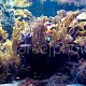 Aquascaping 01