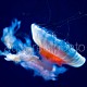 Chrysaora jellyfish 03