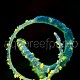 Cirrhipathes spiralis 01