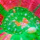 Scolymia australis 01